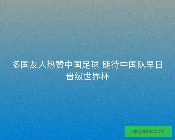 多国友人热赞中国足球 期待中国队早日晋级世界杯