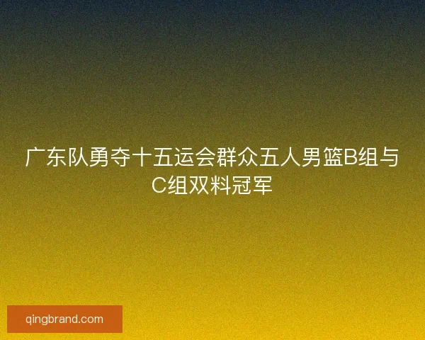 广东队勇夺十五运会群众五人男篮B组与C组双料冠军 广东队勇夺十五运会群众五人男篮B组与C组双料冠军