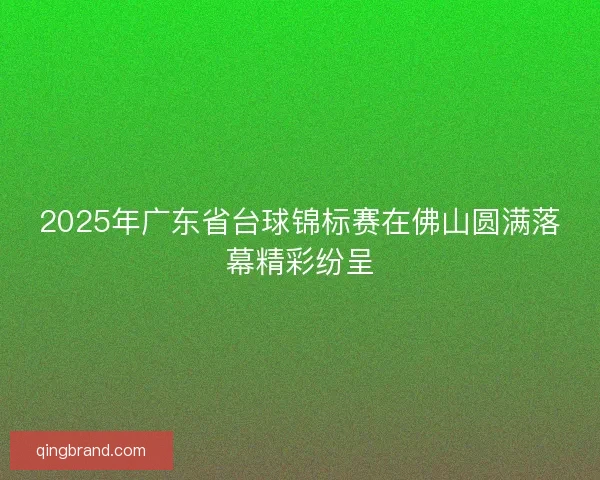 2025年广东省台球锦标赛在佛山圆满落幕精彩纷呈
