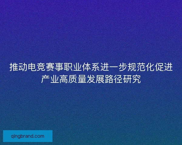 推动电竞赛事职业体系进一步规范化促进产业高质量发展路径研究