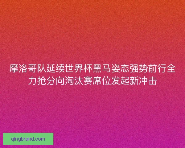 摩洛哥队延续世界杯黑马姿态强势前行全力抢分向淘汰赛席位发起新冲击